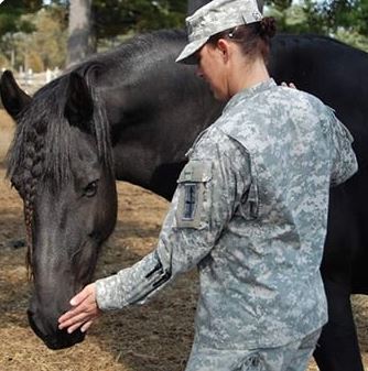 Animal Assisted Psychotherapy