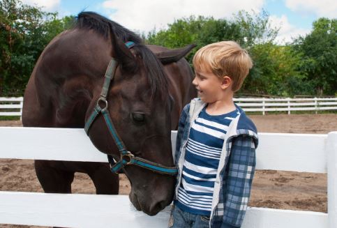 Animal Assisted Psychotherapy